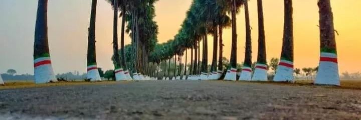 Md. Rakibullah $TRN 10.29 banner