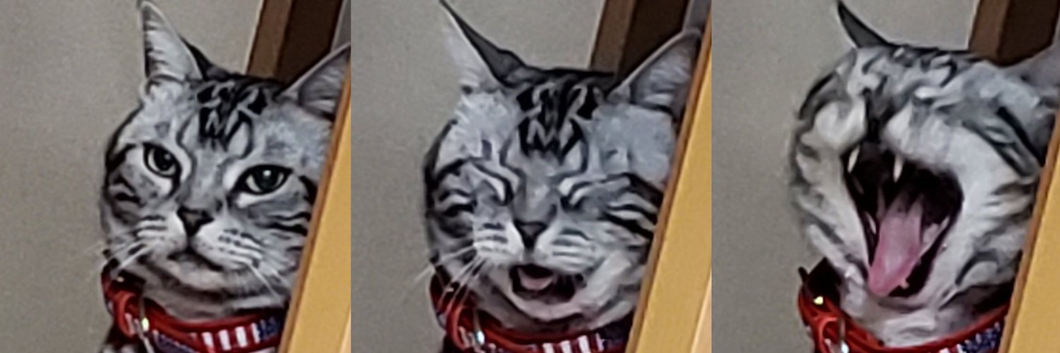 むらかみ（元風麻）/🪼全国ドコデモこども食堂 / 日本こども支援協会 banner