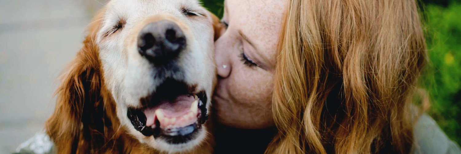 alliethered's profile banner image
