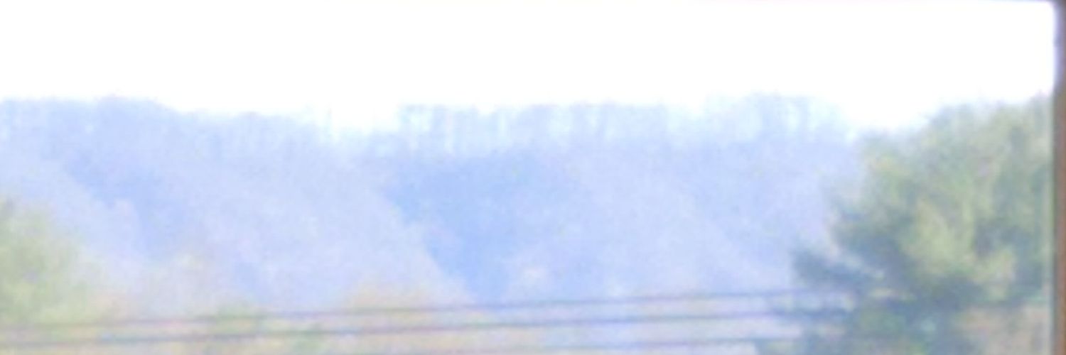 deborah_leroy's profile banner image