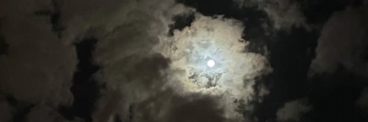 sdoman10's profile banner image