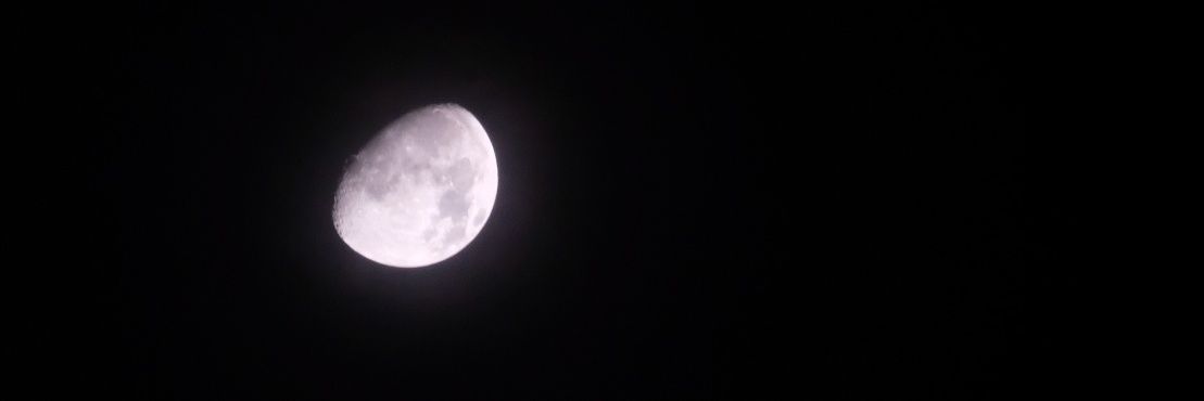 faanalep's profile banner image