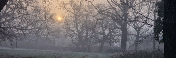 fortetlibre Profile Banner