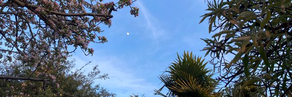 SafiaOG Profile Banner