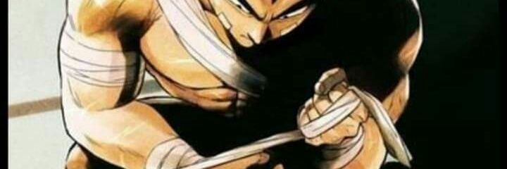 pionerowil's profile banner image