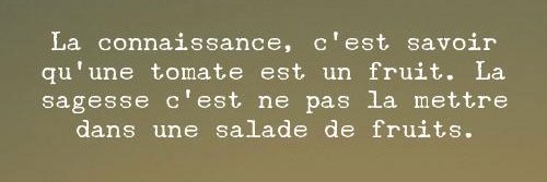 Lady Blue🕊🇫🇷🏳️‍🐞 🚜 banner