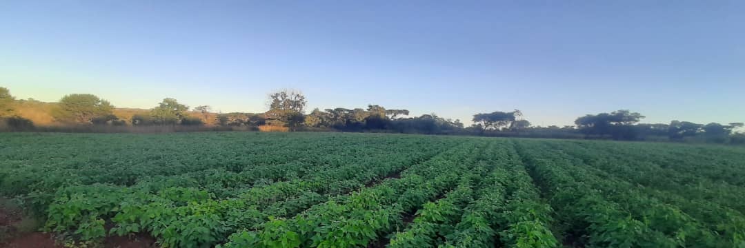 Artwell the Farmer banner