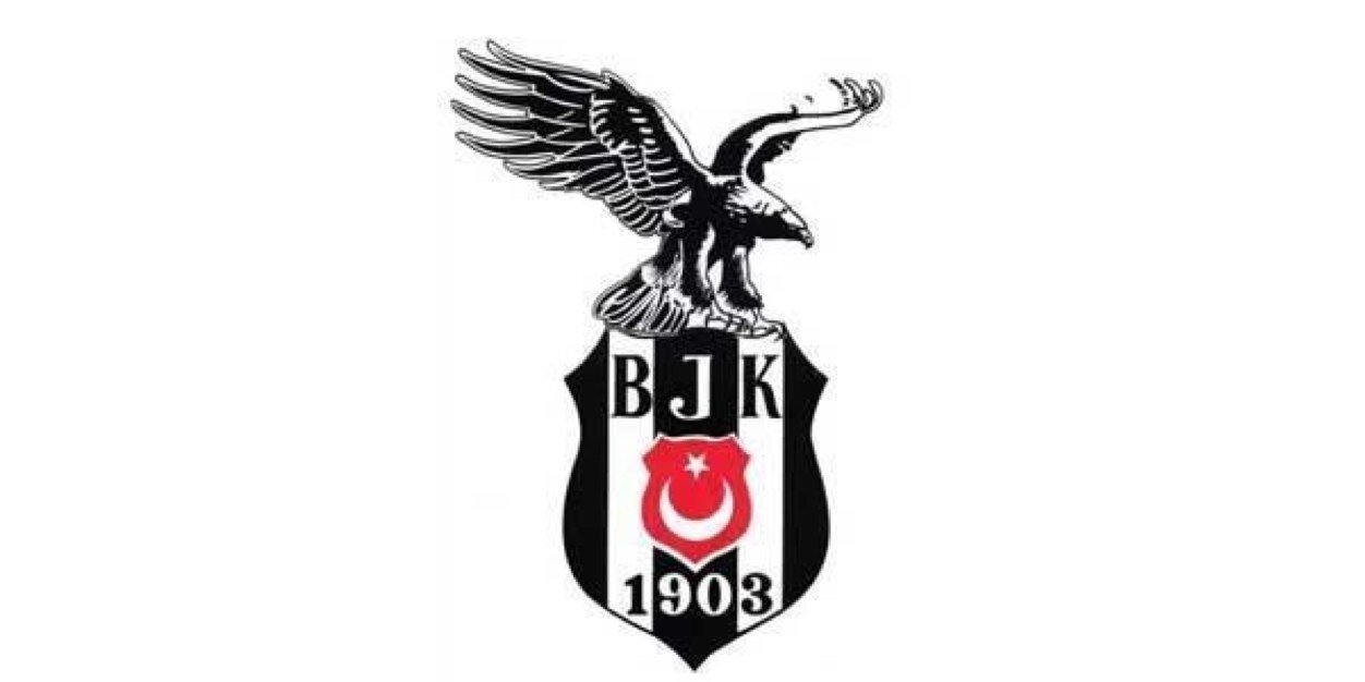 papilionares's profile banner image