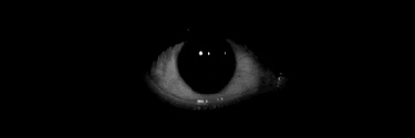 No leas esto👁📝's banner
