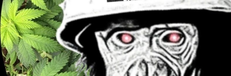 J. & Mr. Roper banner