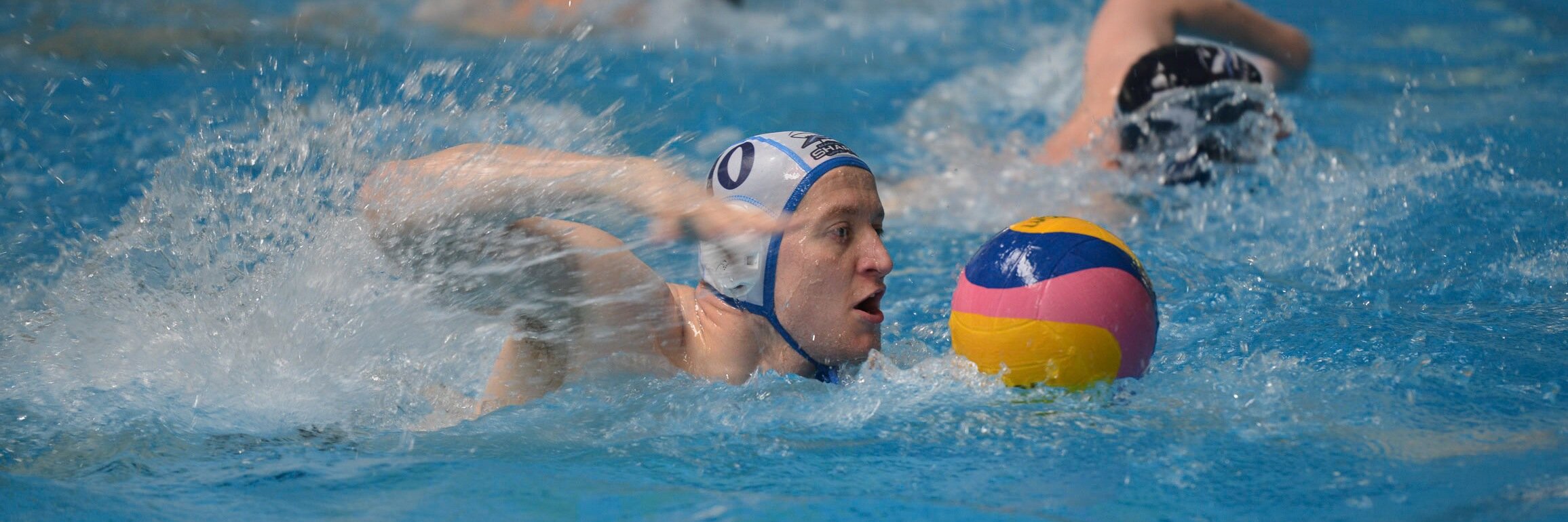 Manchester Sharks banner