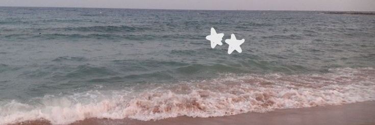 ean ꕤ banner