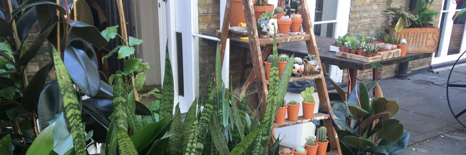 KateGoodrum's profile banner image