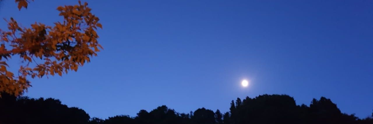 elabourer's profile banner image