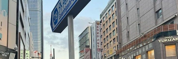 raa 𐙚 banner
