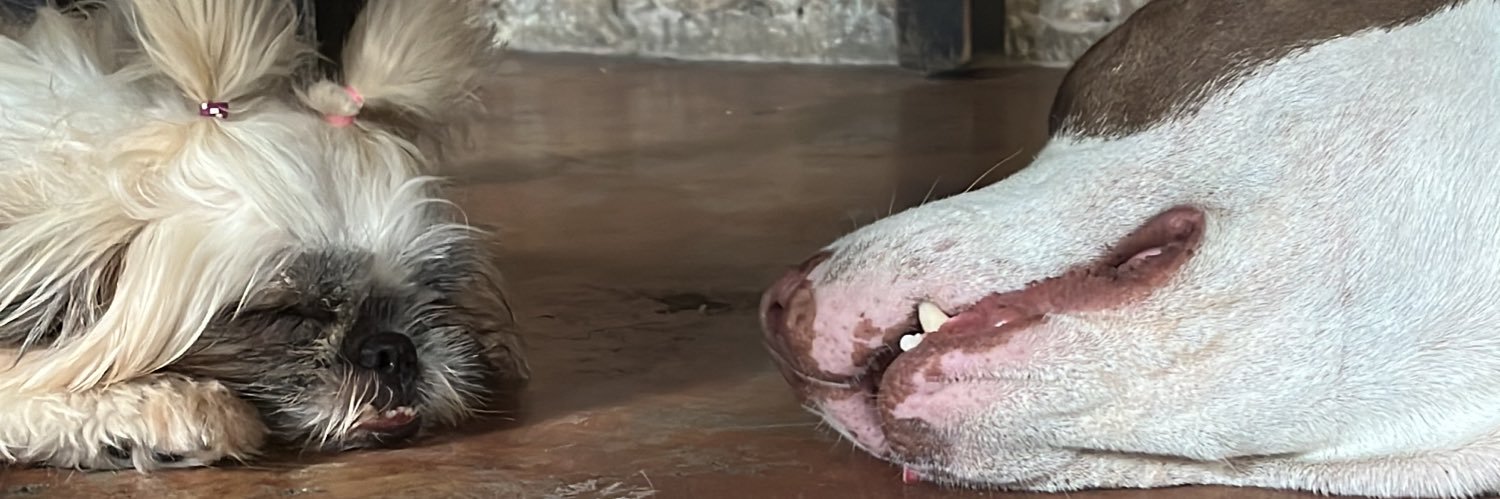 almgrrrr's profile banner image