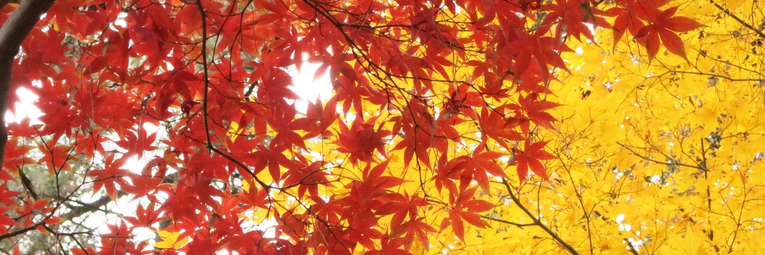 asuka_2d's profile banner image