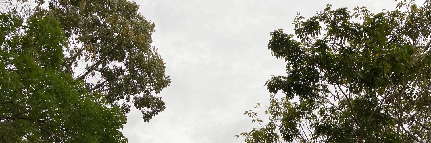 yap banner