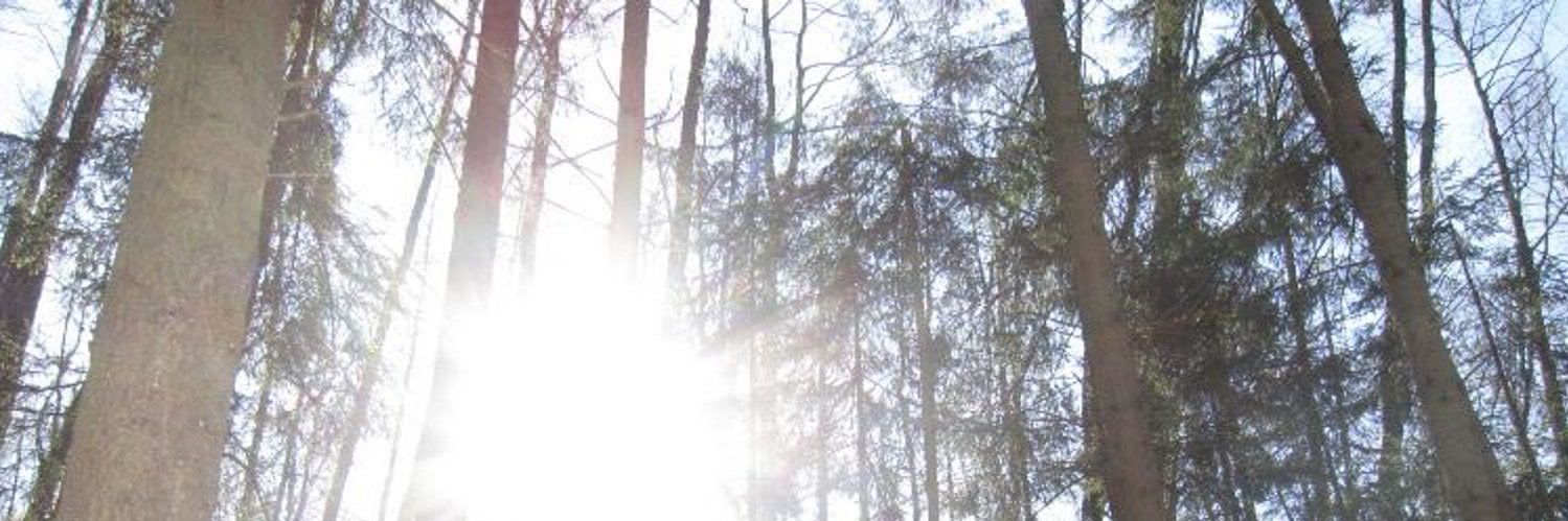 carrlpapa's profile banner image