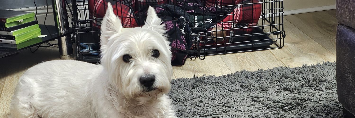 Stephen Donnachie banner