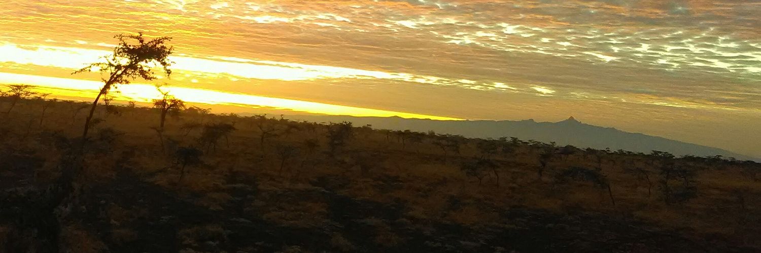 MohaAbdi9's profile banner image