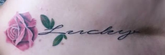 lelucky banner