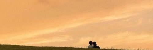 , 🐈 banner
