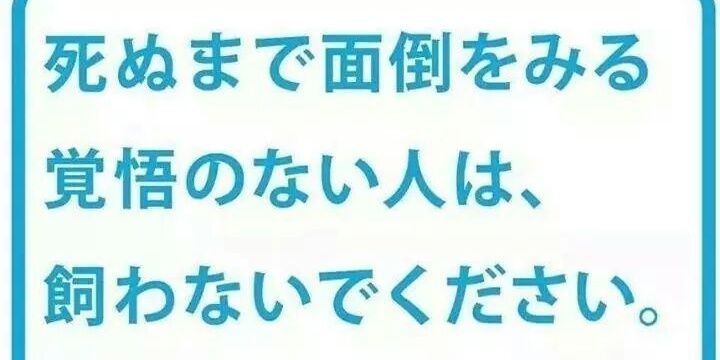 uhoma2's profile banner image