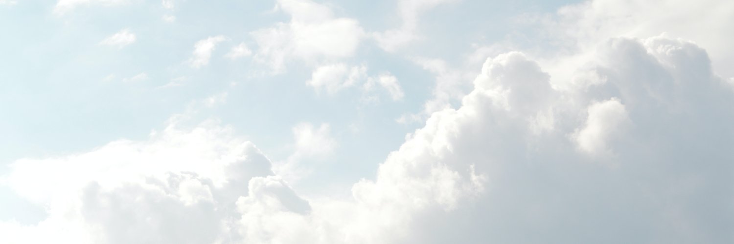 Ryan banner