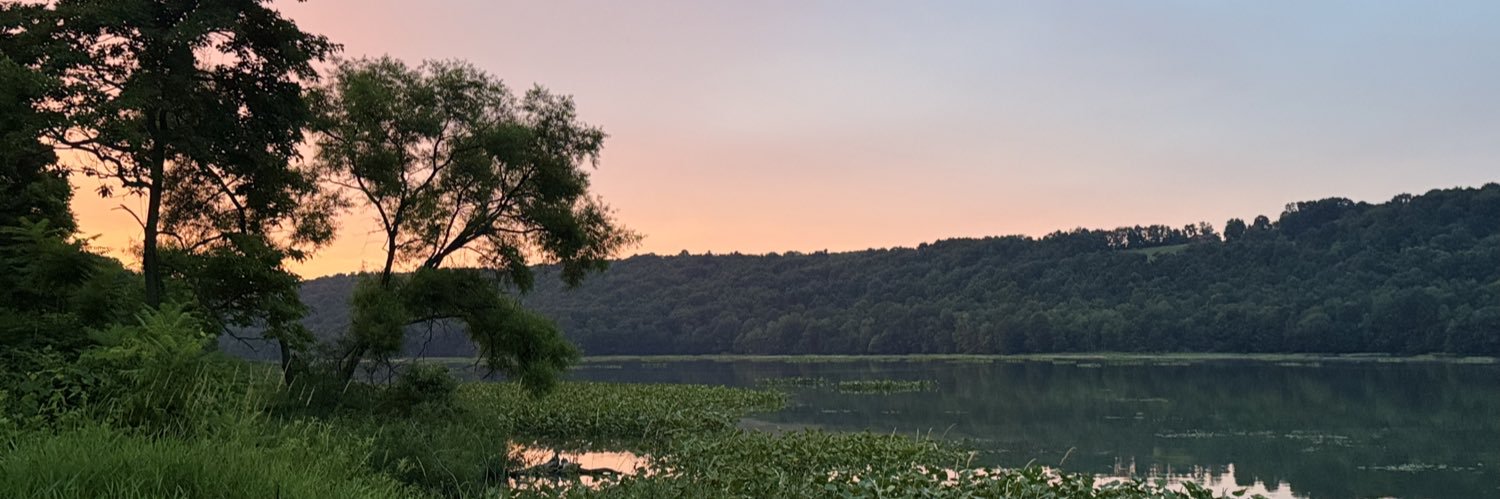 openthedamn's profile banner image