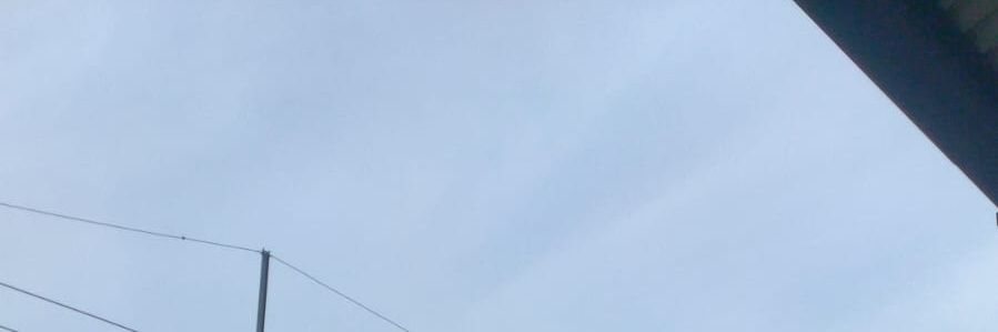 foxxy banner