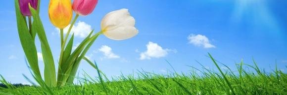 ClassyNur's profile banner image