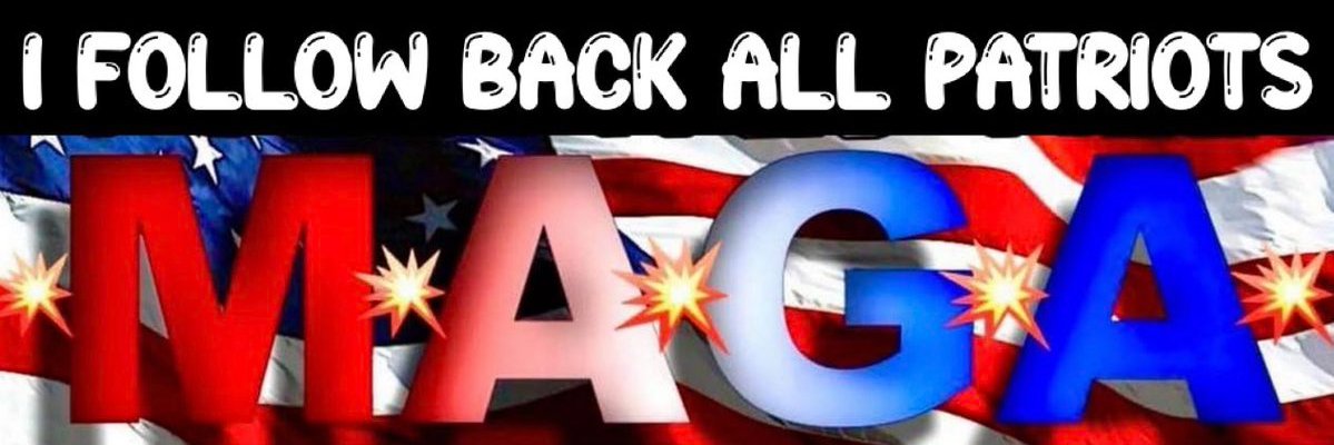 Al-E-Gator's banner
