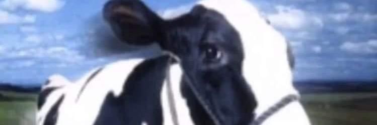 cudegriloooo's profile banner image