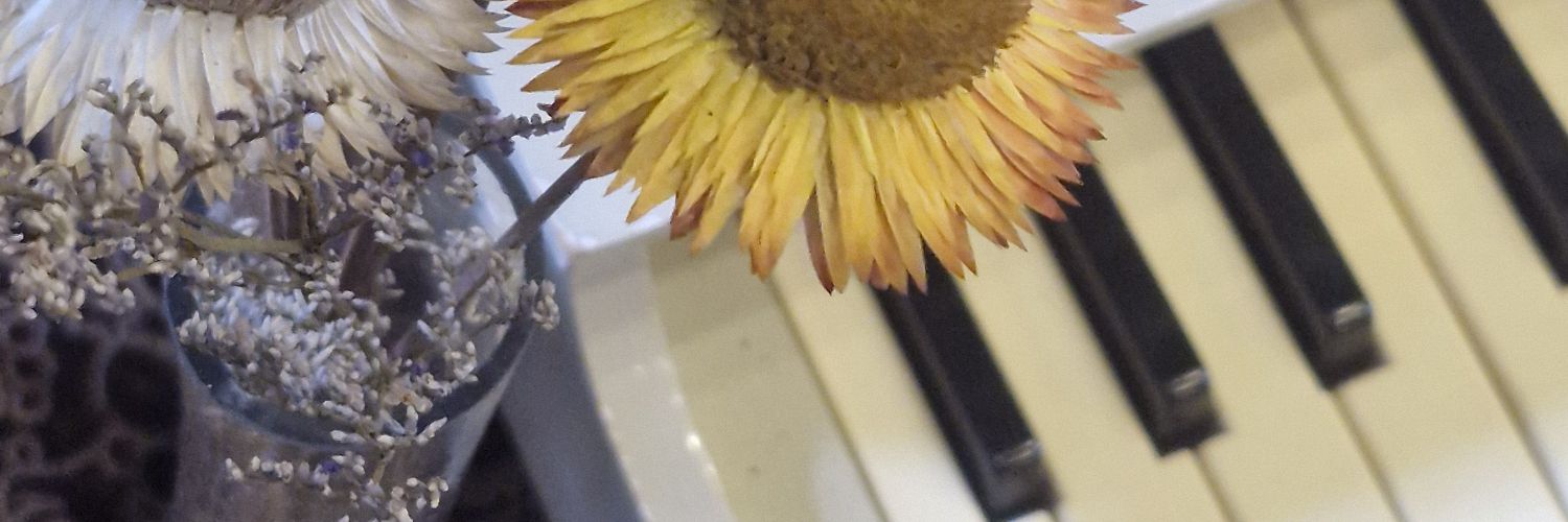 Sunflow01748991's profile banner image