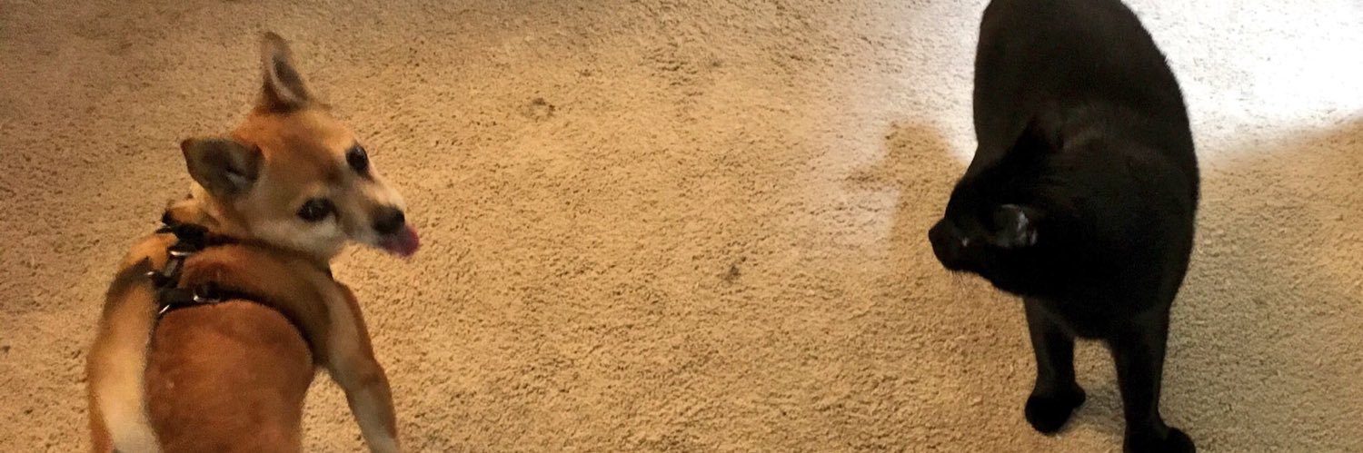 SuperBeardsley's profile banner image