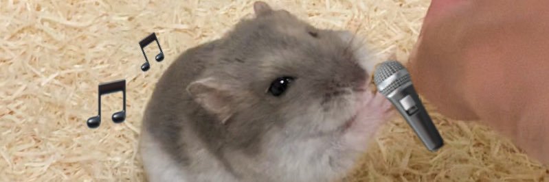 saku_cha_17's profile banner image