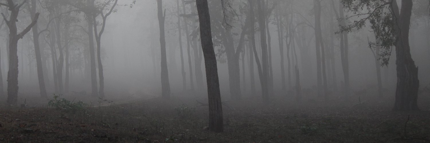 Horn5432's profile banner image