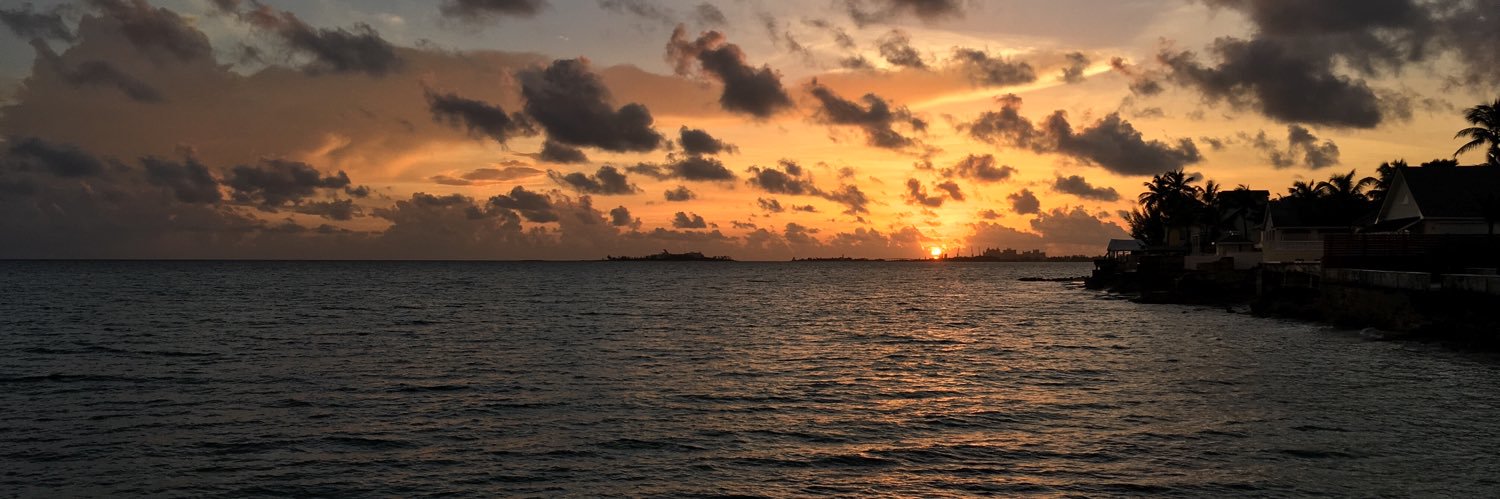 TheNaturalCube banner