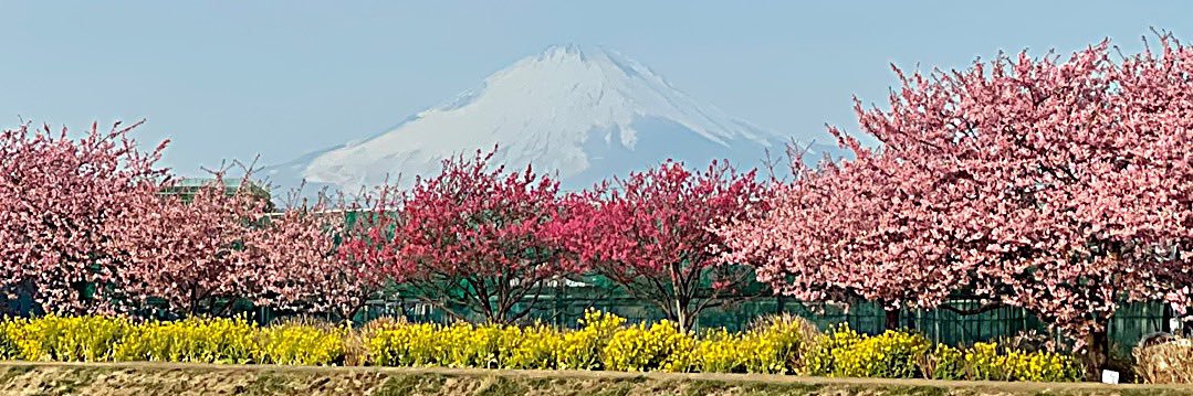 chobiara's profile banner image