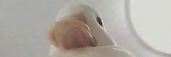 corms93 Profile Banner