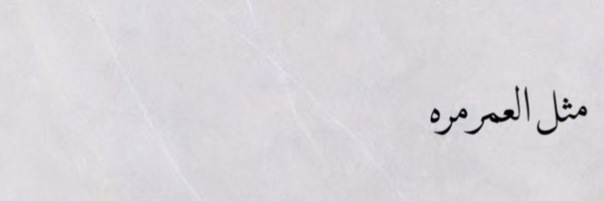 tql1i's profile banner image