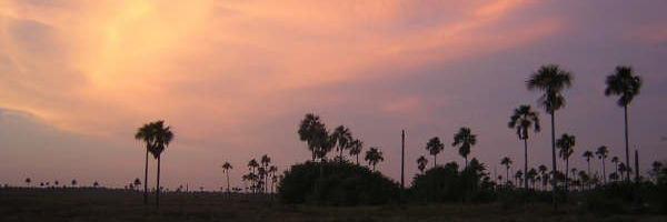 Rafael E. Pérez Matos banner