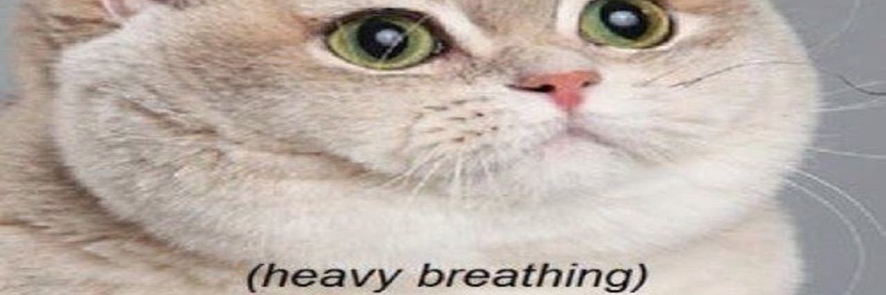 jamie :D ★ tomodachi life banner