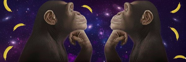 DeFiDownsin Profile Banner