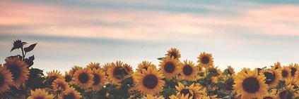 EGilbert1's profile banner image