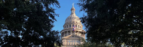 austintexaslisa Profile Banner