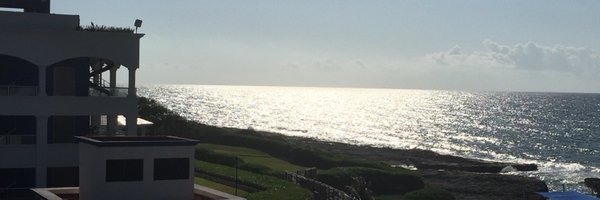 MicheleErickso9 Profile Banner