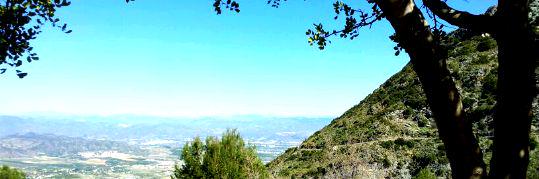 t_atencia's profile banner image